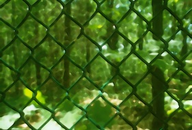 Lo verde puede ser prisión
