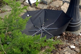 War to umbrella